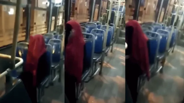 viral-video-stree-in-delhi-bus-faceless-woman-taking-public-transport-intrigues-delhiites